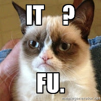 5 Things CFOs Hate About IT